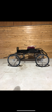 Gerald fine harness buggy