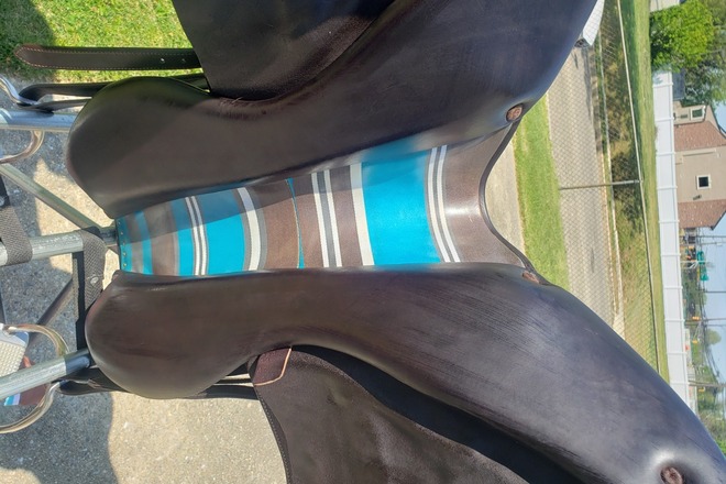2022 Voltaire Palm Beach 17.5" all buffalo saddle chocolate