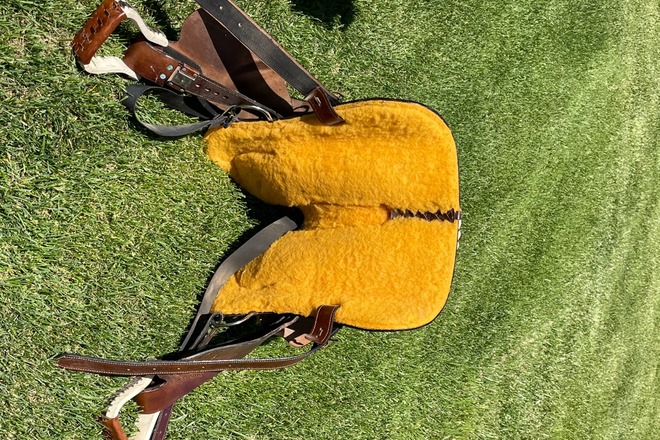 Padded Saddle