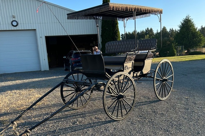 Horse Carriage classic Surrey