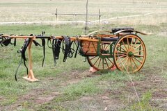 Selling: Meadowbrook Horse Cart, Harness, and Accessories