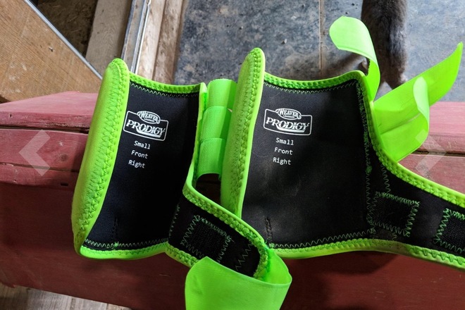 Horse boots light all colors 