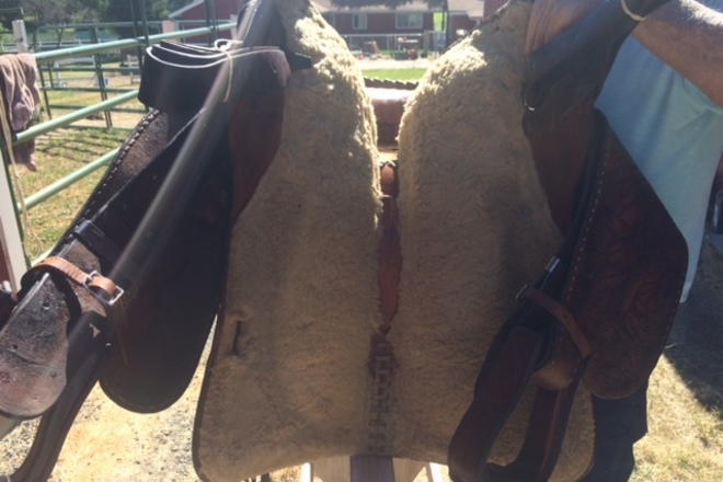Fallis Geniune Balance Saddle 15"