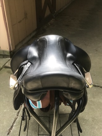 Voltaire Dressage Saddle 17"