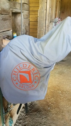 Childeric DGP Saddle Like New 17.5"