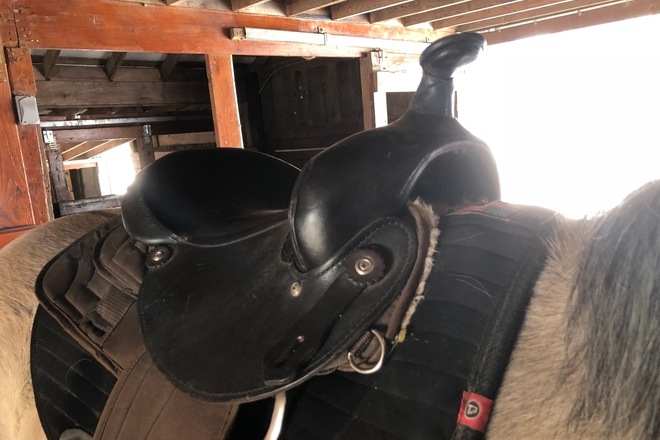 Light Weight Saddle 15"