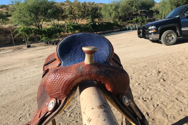 Corriente Barrel Saddle 15" with Breat Collar and Back Cinch