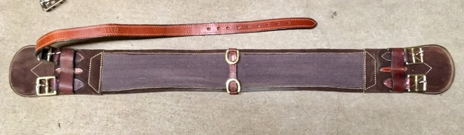 35” Aussie girth 