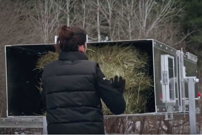 Solar Powered Automated Horse Feeder