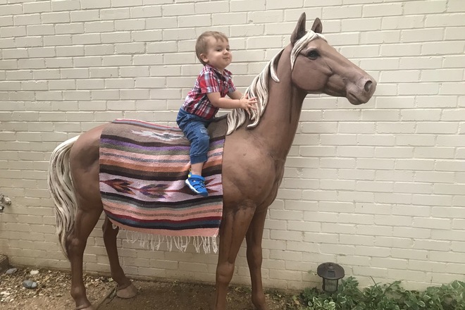 Large Aluminum Quarterhorse  Statue