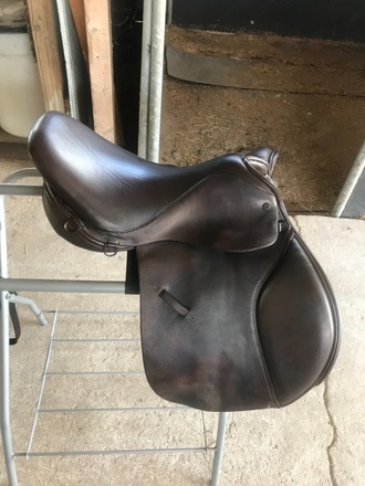Ashley and Clarke Ayr Saddle 17"