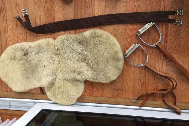 Passier Dressage Saddle w stirrips & leathers 17.5"